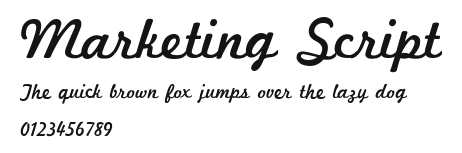 Marketing Script Preview