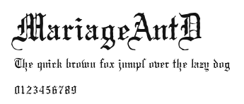 MariageAntD Preview