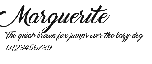 Marguerite Preview