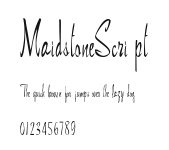 MaidstoneScript Preview