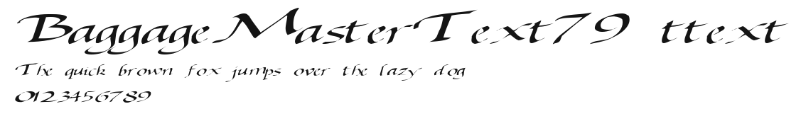 BaggageMasterText79 ttext Preview