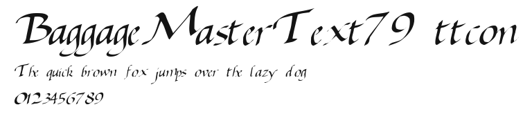 BaggageMasterText79 ttcon Preview