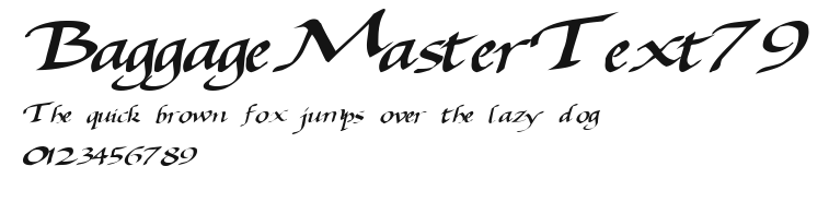 BaggageMasterText79 Preview