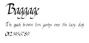 Baggage Preview