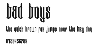 Bad Boys Preview