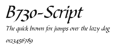 B730-Script Preview