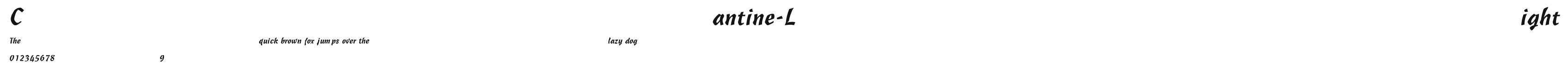 Cantine-Light Preview