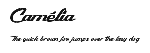 Camélia Preview