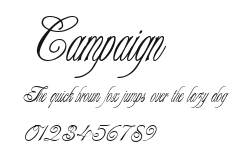 Campaign Preview