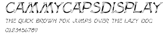 CammyCapsDisplay Preview