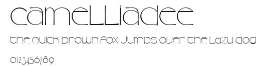 CamelliaDEE Preview