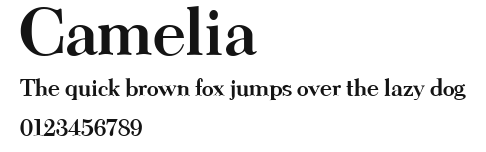 Camelia Preview