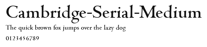 Cambridge-Serial-Medium Preview