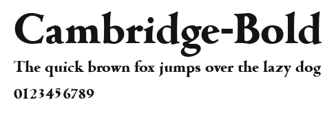 Cambridge-Bold Preview
