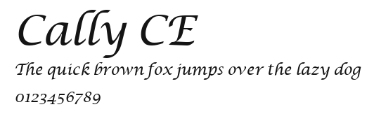 Cally CE Preview