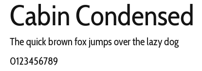 Cabin Condensed Preview