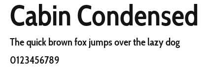 Cabin Condensed Preview
