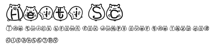 Heiti SC.ttf