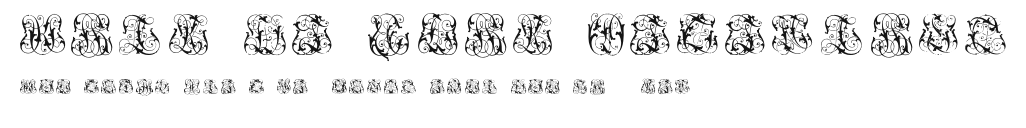 Hard to Read Monograms.otf
