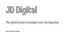 JD Digital Preview
