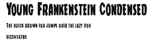 Young Frankenstein Condensed.ttf
