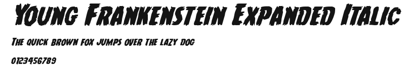 Young Frankenstein Expanded Italic.ttf