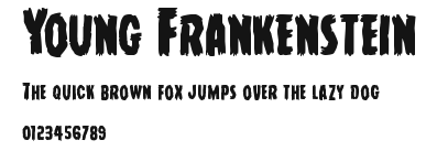 Young Frankenstein Preview