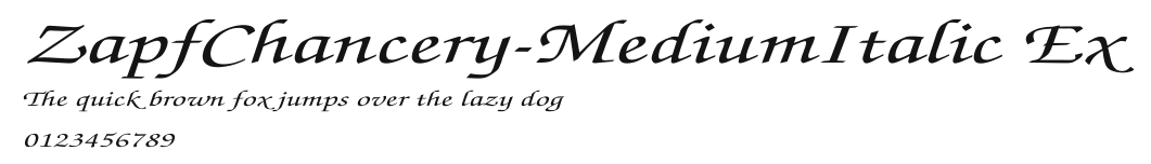 ZapfChancery-MediumItalic Ex.ttf