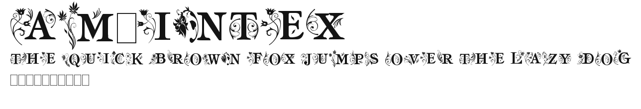 am_intex.ttf