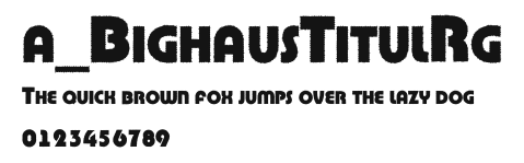 a_BighausTitulRg Preview