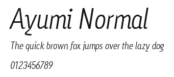 Ayumi Normal.ttf