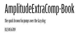 AmplitudeExtraComp-Book.ttf
