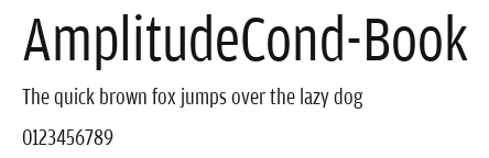 AmplitudeCond-Book.ttf