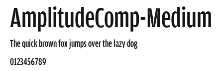 AmplitudeComp-Medium.ttf