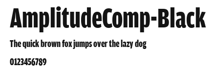 AmplitudeComp-Black.ttf