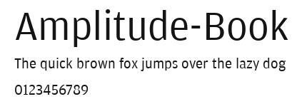 Amplitude-Book.ttf