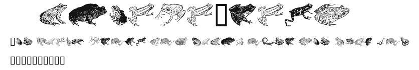 AmphibiPrint.ttf