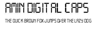 Amin Digital CAPS.ttf