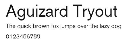 Aguizard Tryout.ttf