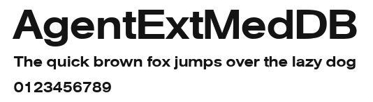 AgentExtMedDB.ttf