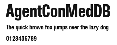 AgentConMedDB.ttf