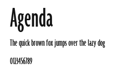 Agenda.ttf