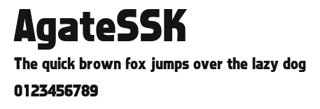 AgateSSK.ttf