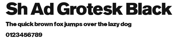 Sh Ad Grotesk Black.ttf