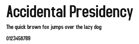 Accidental Presidency.ttf