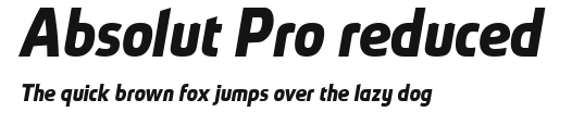 Absolut Pro reduced.ttf