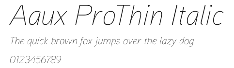 Aaux ProThin Italic.ttf