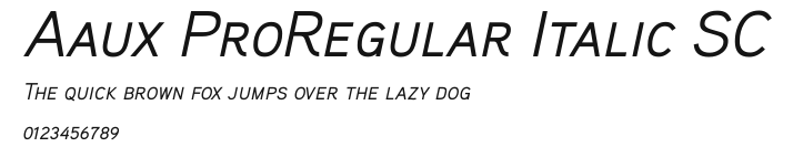 Aaux ProRegular Italic SC.ttf