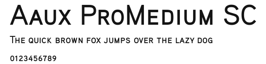 Aaux ProMedium SC.ttf