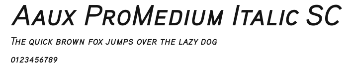 Aaux ProMedium Italic SC.ttf